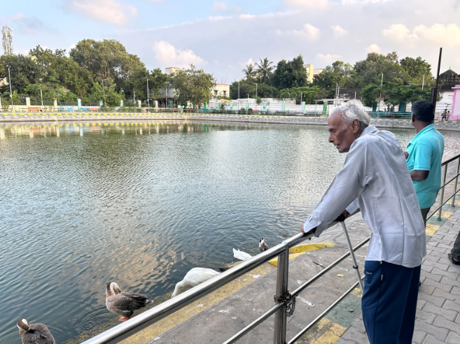 Feeding the birds by the pond